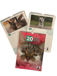 Kalender 2025