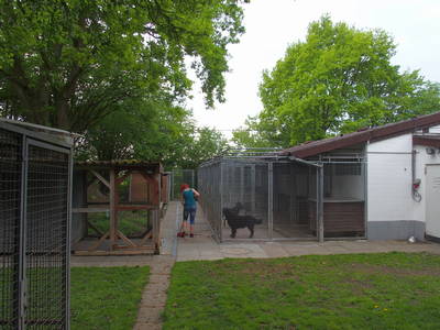 Zwinger Hundehaus und hinterer Hof