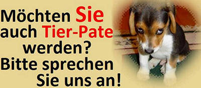 Tier-Pate werden