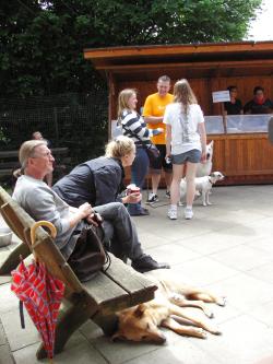 Besucher mit Hunden vor dem Kuchenstand