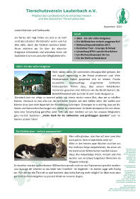 Newsletter vom November 2013